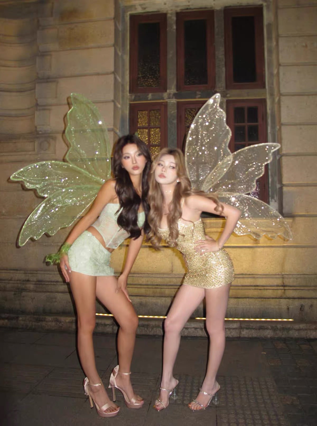 Fairy Wings